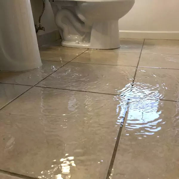 Expert Flooded Bathroom Restoration in West Palm Beach, FL 
