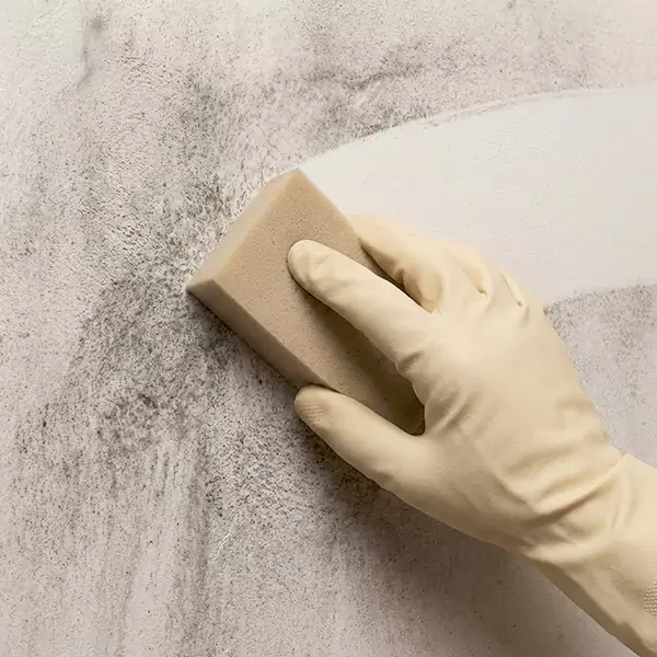 Smoke Cleaning in West Palm Beach, FL 