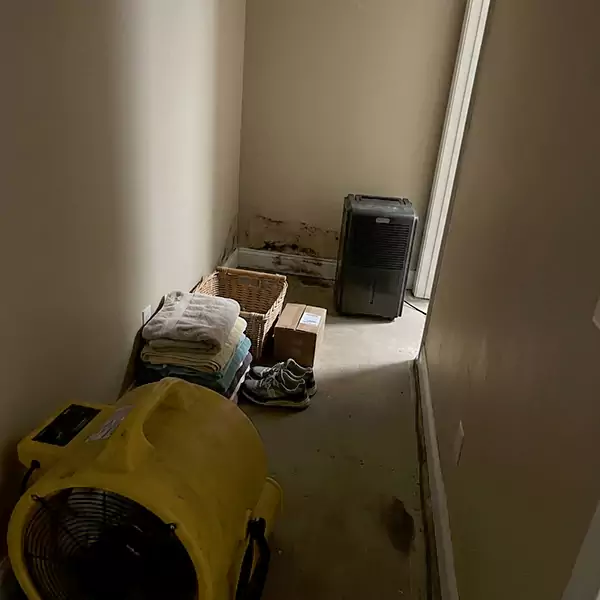 Expert Water Remediation in West Palm Beach, FL 