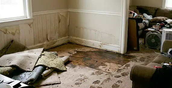 Why Choose WPB Water Restoration For Water Damage Restoration Services in West Palm Beach, FL?
