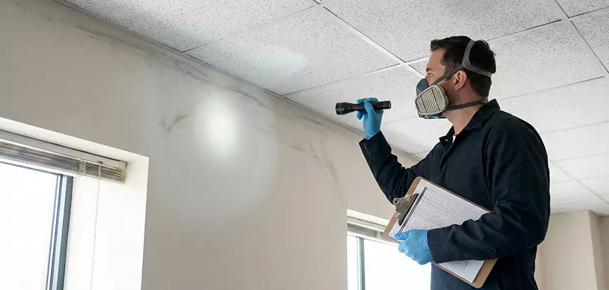 Technician inspecting light soot staining near a ceiling line in a commercial room.