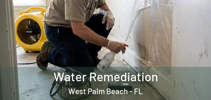  Water Remediation West Palm Beach - FL